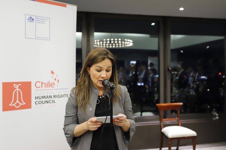 Chile busca reelección en el Consejo de Derechos Humanos de la ONU para el período 2026-2028